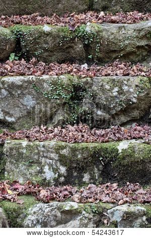 old stone stairs