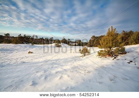 Blue Sky Over Snow Hills And Meadows