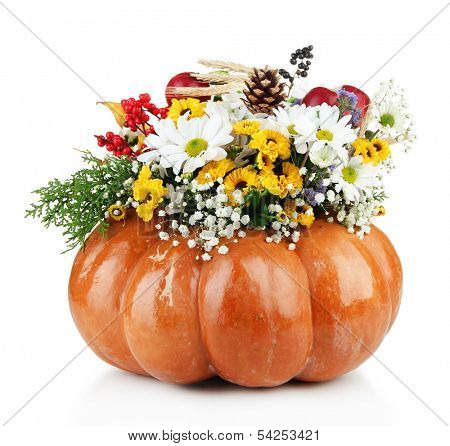 Beautiful autumn composition in pumpkin isolated on white