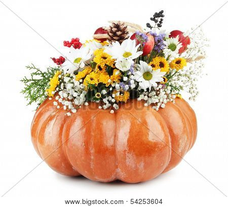 Beautiful autumn composition in pumpkin isolated on white