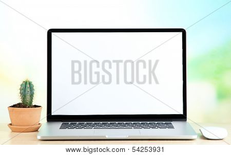 Laptop and cactus in flowerpot on wooden table