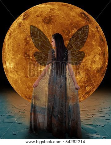 Ice fairy in front of a Venus. Elements of this image furnished by NASA.
