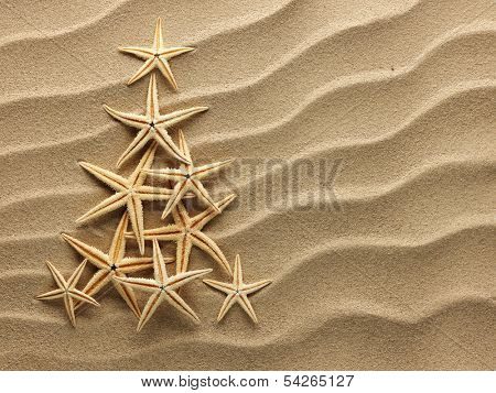 Christmass tree from shells on sand background