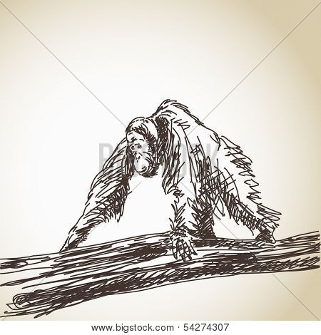 Sketch of orangutan walking on wood Vector