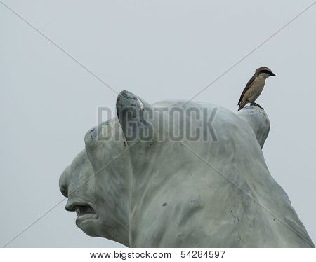 The bird (borlaug)