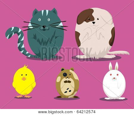 Animal Set