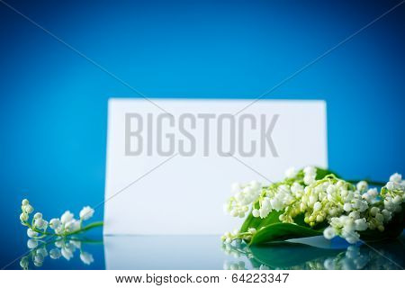 Beautiful Spring Lilies With A Blank