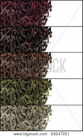 Collage of aromatic dry tea isolated on white