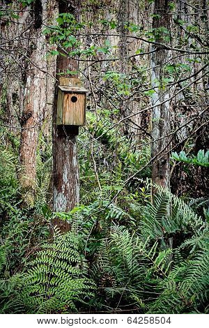 Bird house