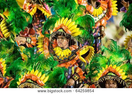 (22314) Carnaval Rio De Janeiro 2014