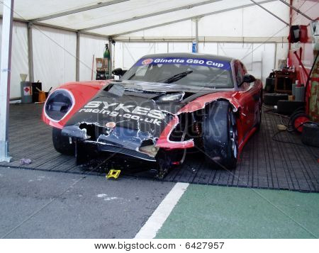 Gebrochene ginetta