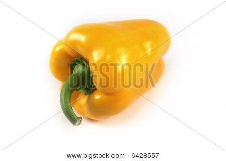 Yellow Paprika