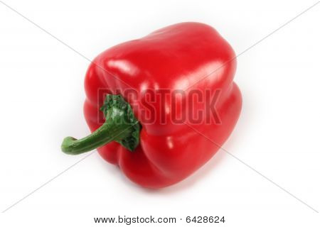 Red Paprika