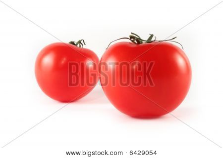 Two Tomatoes Isolated