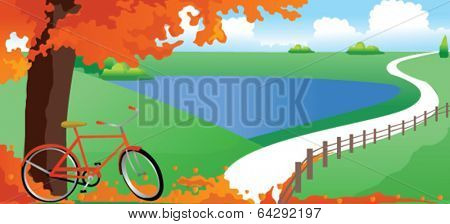 Bicycle under trees