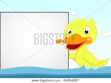 Little Duck Swimming