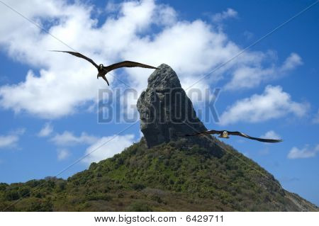 Fernando De Noronha - Brasil