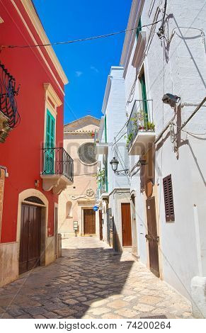 Alleyway. Fasano. Puglia. Italy.