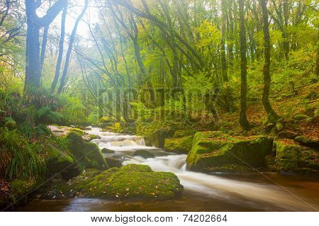 Golitha Falls Cornwall