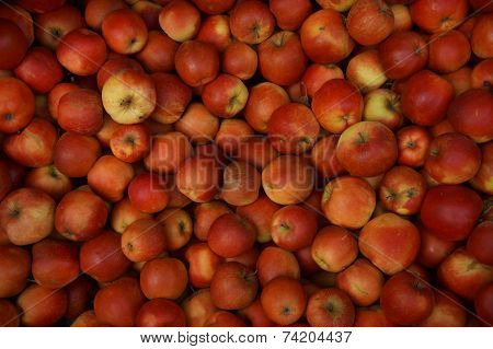Lot of red healthy apples - Fruit background