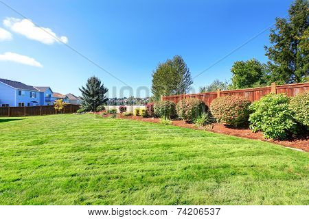 Backyard Land With Decorative Bushes And Lawn