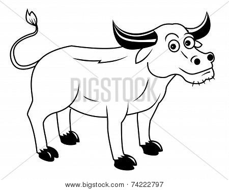 buffalo