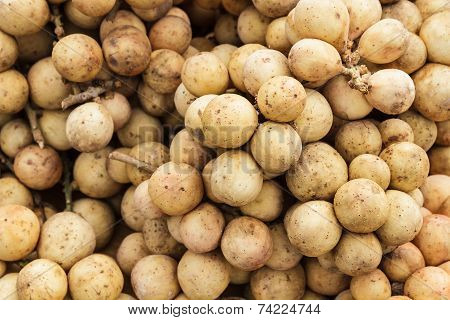 Longkong