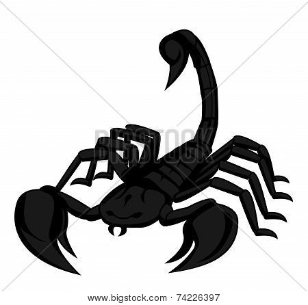 scorpion