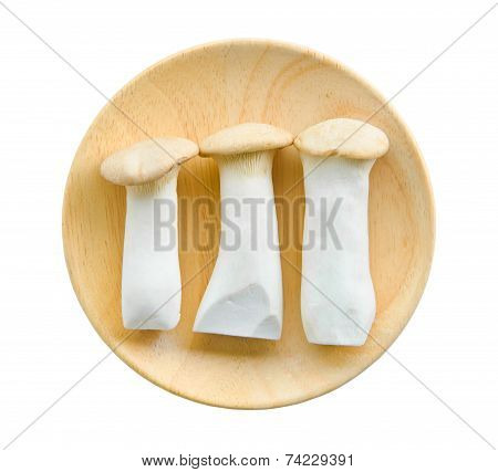 King Oyster Mushrooms (pleurotus Eryngi).