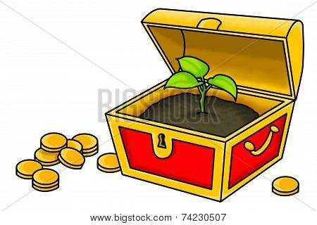 The True Treasure