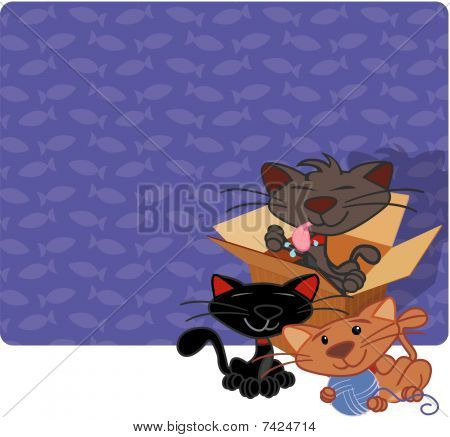 gatos para la venta