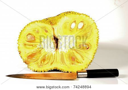Jackfruit Isolated On White Background