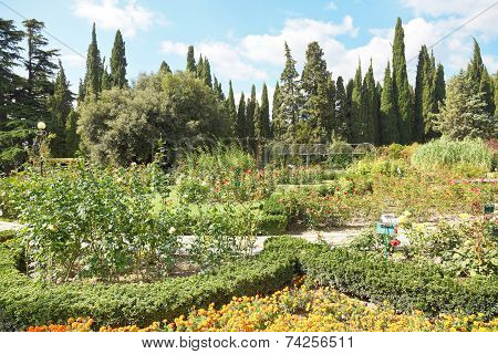 Flower Beds In Nikitsky Botanical Garden, Yalta