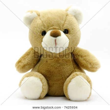 テディー ・ ベア