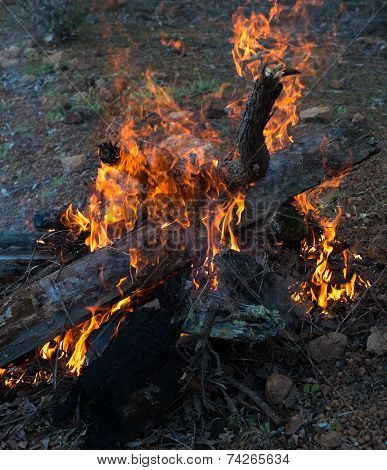 Fire