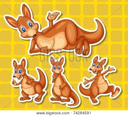 Illustration of a set of kangaroo 