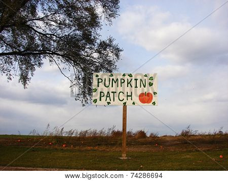 Country Pumpkin Patch