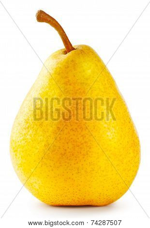 Yellow ripe pear