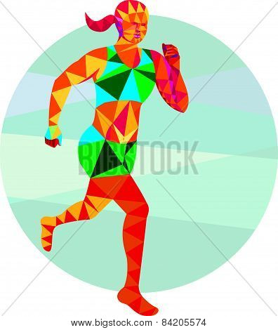 Female Triathlete Marathon Runner Low Polygon