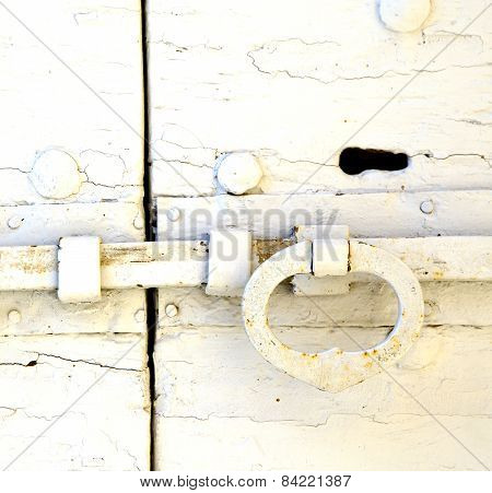 White  Tradate Abstract   Rusty Brass Brown Knocker