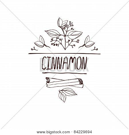 Herbs and Spices Collection - Cinnamon