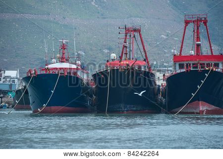 Hong Kong-march 12: Traditional Fishing Trawler In The Aberdeen Bay. Famous Floating Village