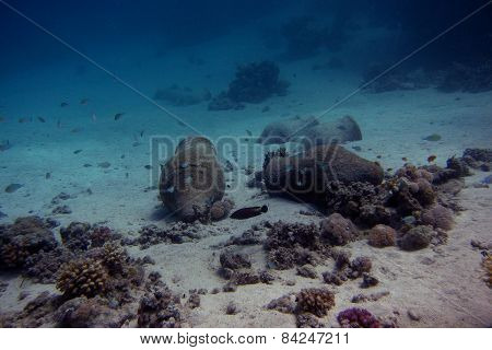 Amphoras On The Sea