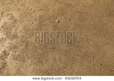 pattern