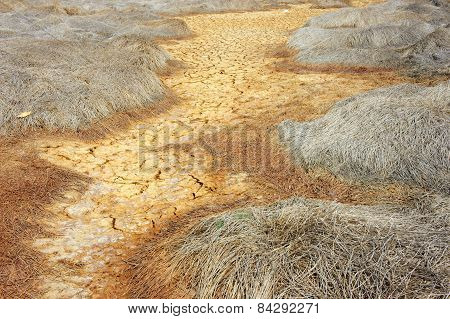 Drought Land, Climate Change, Hot Summer