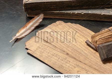 Ancient Treatise With Bird Feather