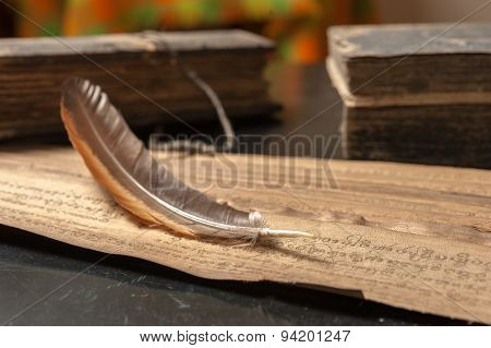 Ancient Treatise With Bird Feather