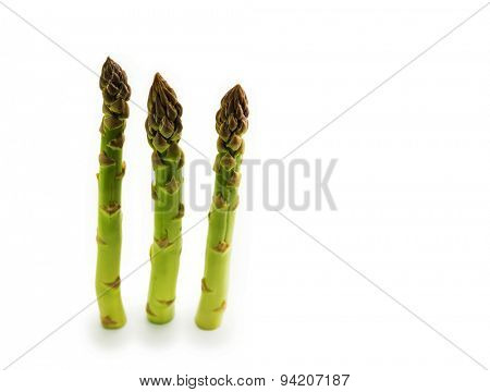 Three fresh harvested asparagus, standing, isolated on white.