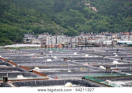 XIAPU, CHINA - JUNE 4, 2015: Man-made ponds filled with sea water houses millions of shrimps and prawns in a shrimp farm in Xiapu. Xiapu is a major player in the seafood farming industry in China.