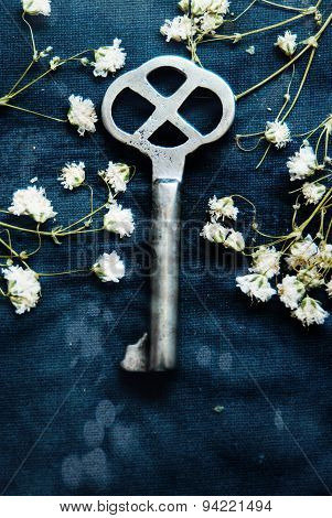 The silver key with flowers